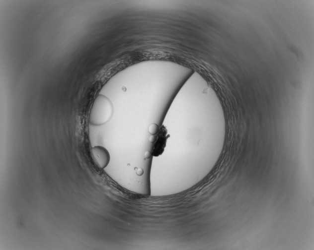 X0000111800759200908061158