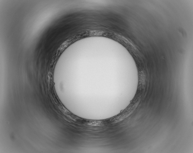 X0000111800761200908061158