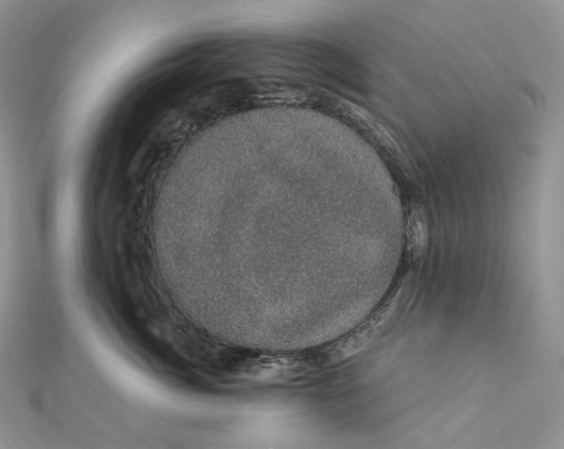 X0000111800764200908061158