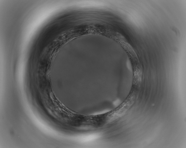 X0000111800765200908061158