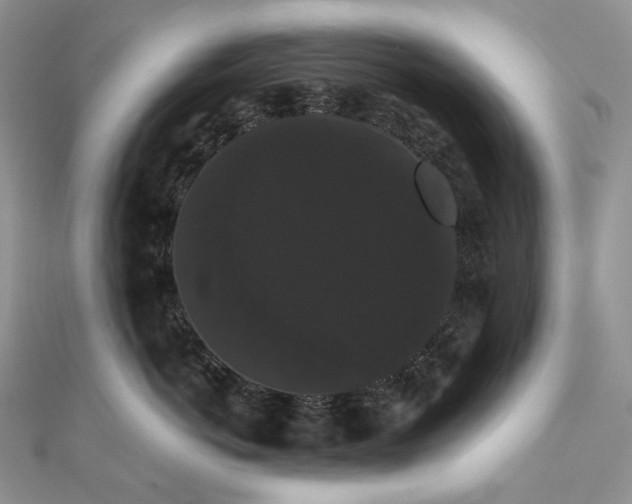 X0000111800766200908061158