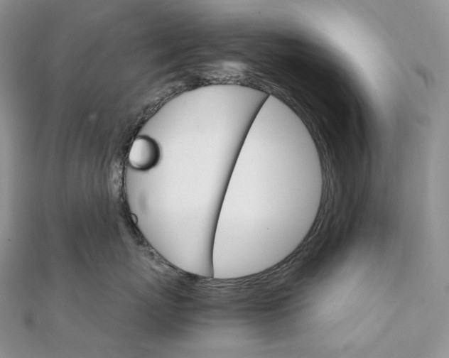 X0000111800767200908061158