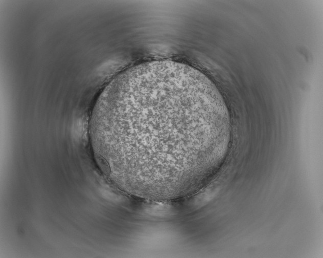 X0000111800768200908061158