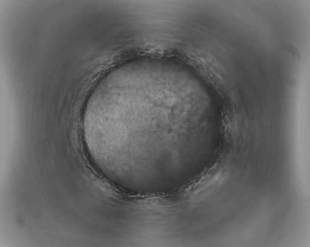 X0000111800769200908061157