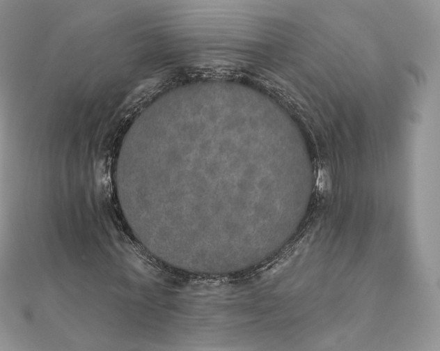 X0000111800771200908061157