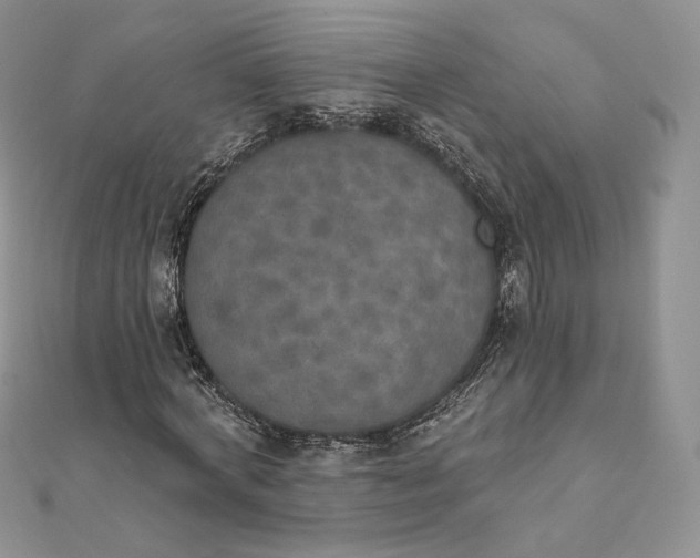 X0000111800772200908061157