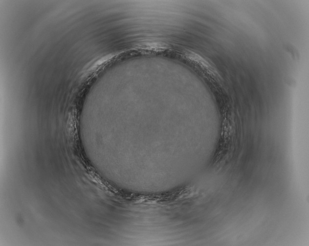 X0000111800773200908061157