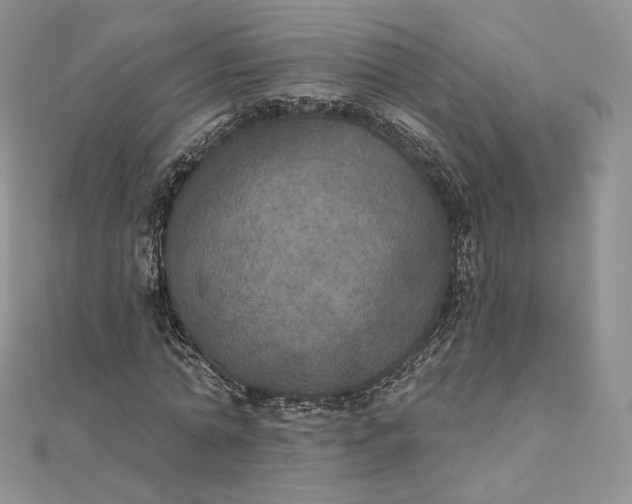 X0000111800774200908061157