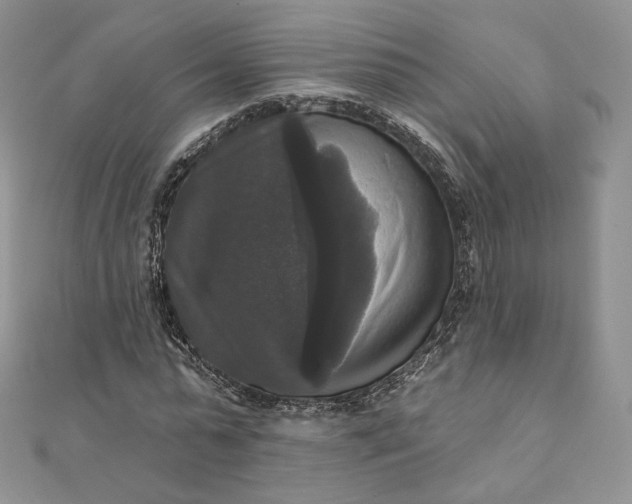 X0000111800775200908061157