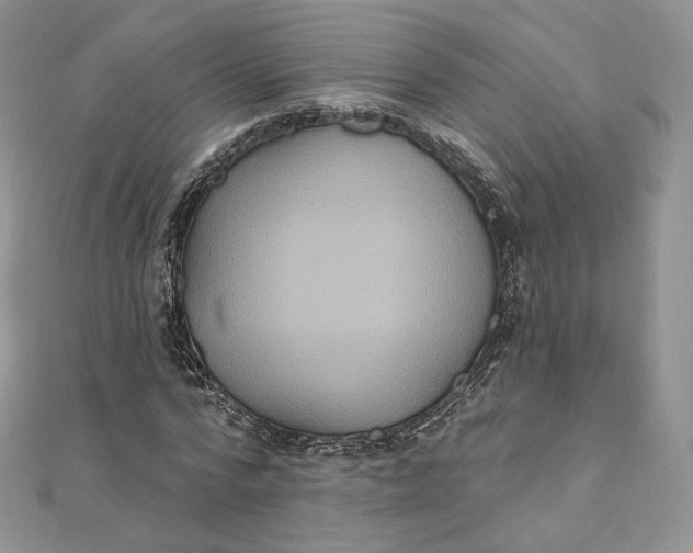 X0000111800776200908061157