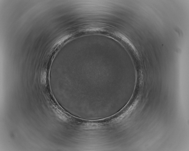 X0000111800777200908061157