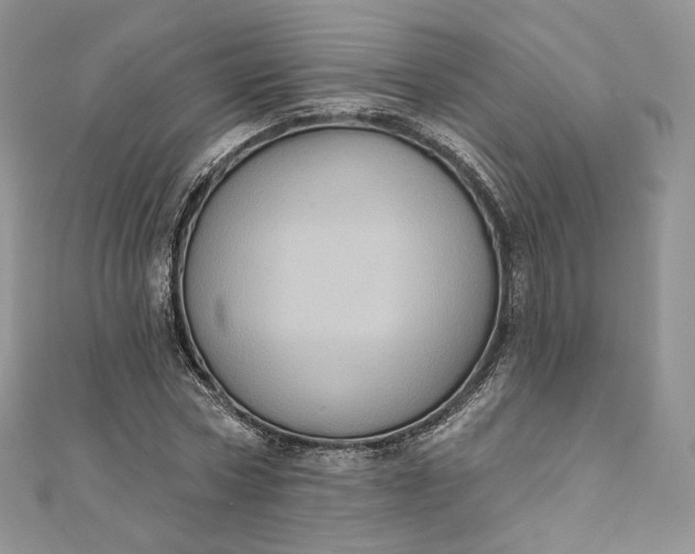 X0000111800778200908061157