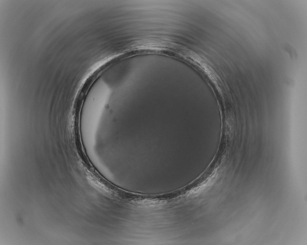 X0000111800779200908061157