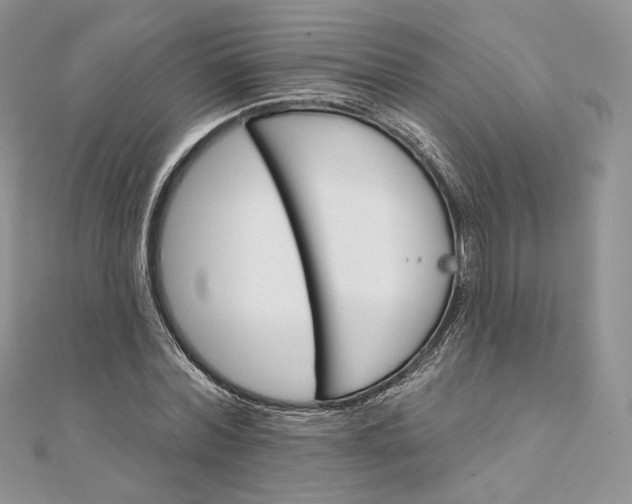 X0000111800780200908061157