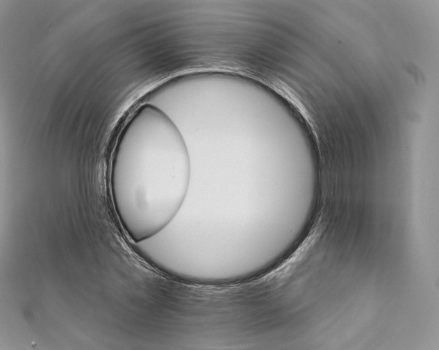 X0000111800781200908061157