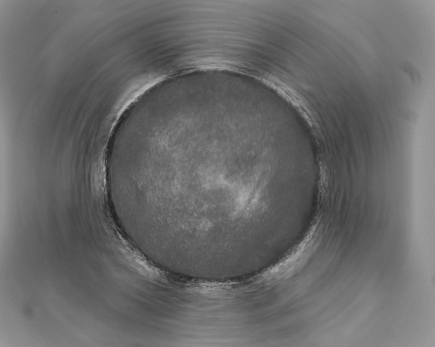 X0000111800782200908061157