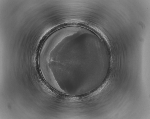 X0000111800783200908061157