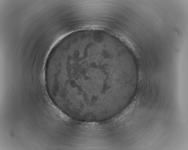 X0000111800784200908061157