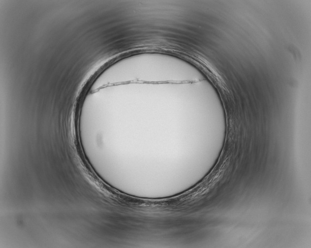 X0000111800788200908061157