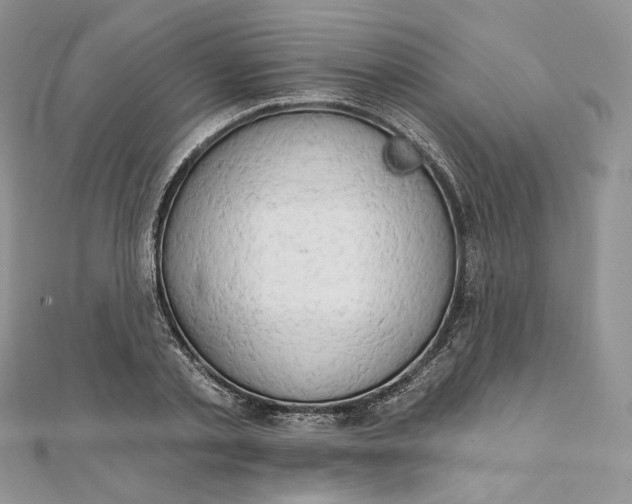 X0000111800789200908061157