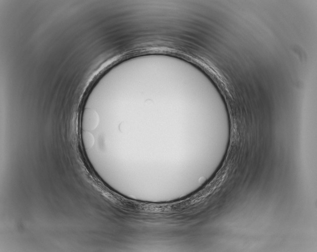 X0000111800790200908061157