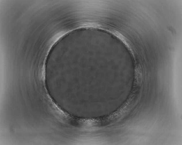 X0000111800791200908061157