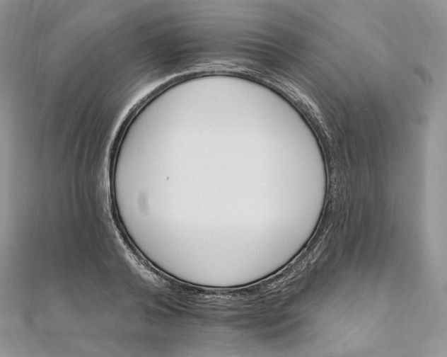 X0000111800792200908061157