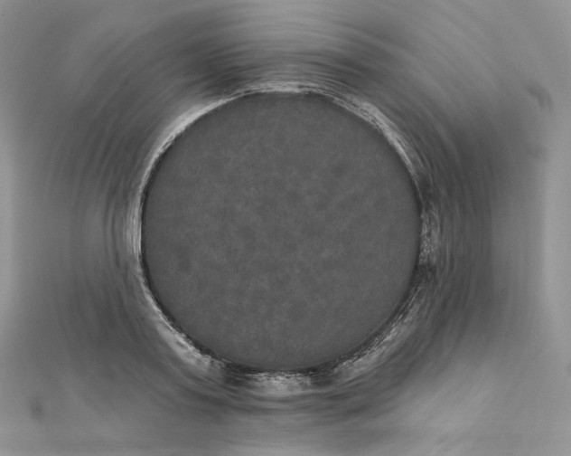 X0000111800795200908061157