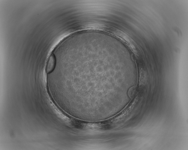 X0000111800796200908061157