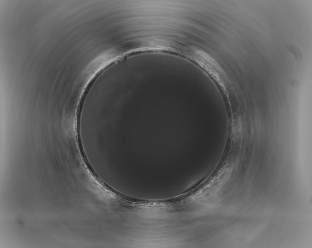 X0000111800797200908061157