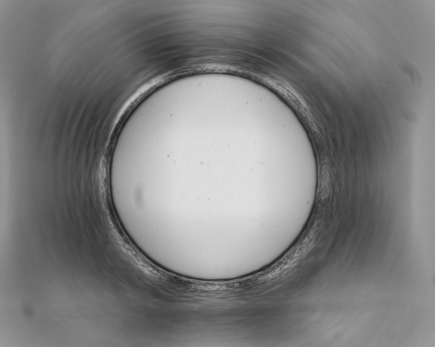 X0000111800798200908061157