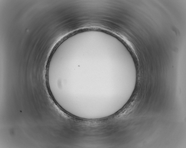 X0000111800799200908061157