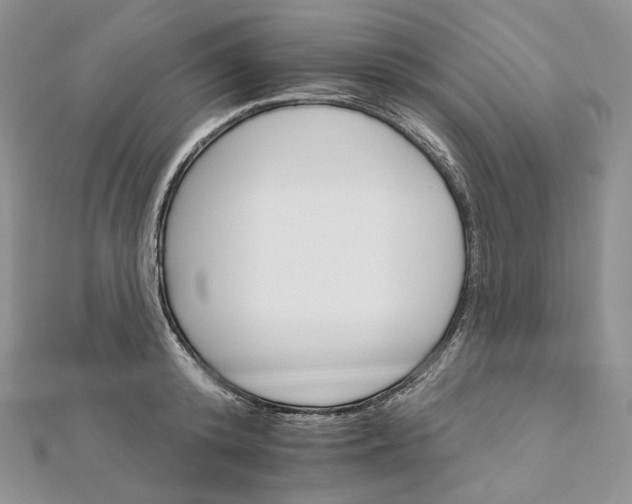 X0000111800800200908061157