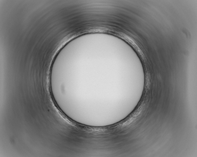 X0000111800802200908061157