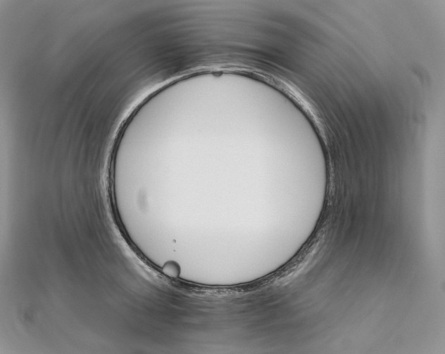 X0000111800803200908061157