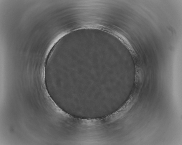 X0000111800804200908061157