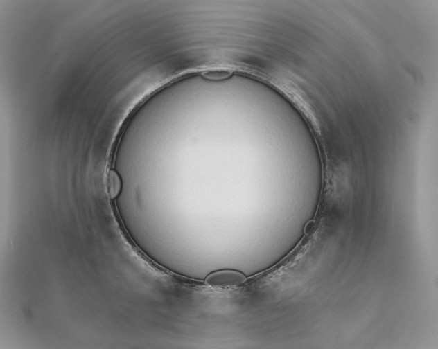 X0000111800805200908061157