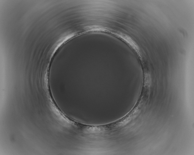 X0000111800806200908061157