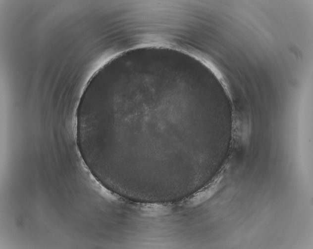 X0000111800807200908061157