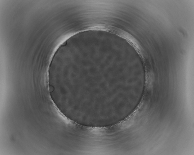 X0000111800808200908061157