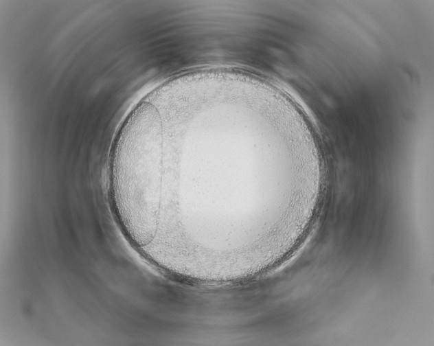 X0000111800810200908061157