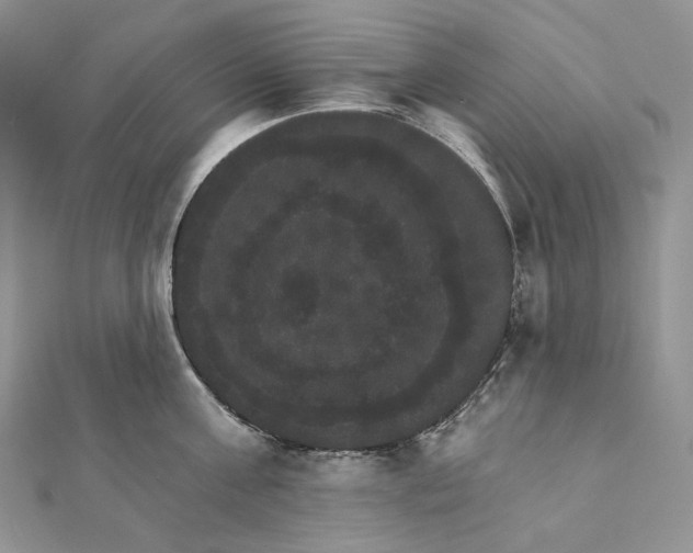 X0000111800811200908061157