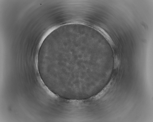 X0000111800812200908061157