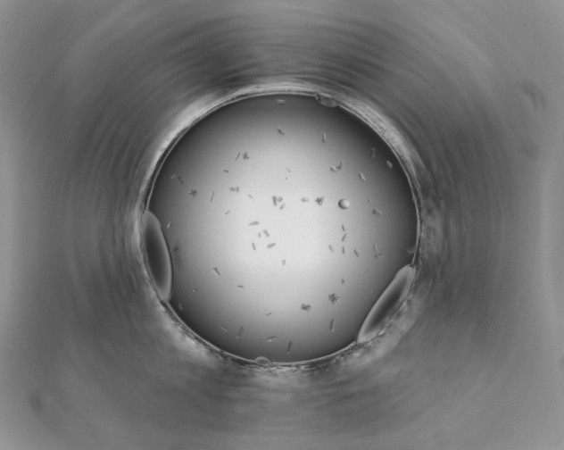 X0000111800813200908061157