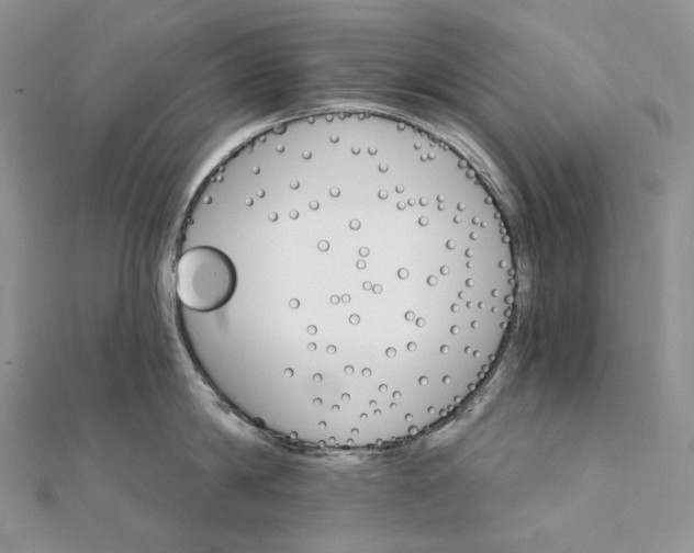 X0000111800814200908061157