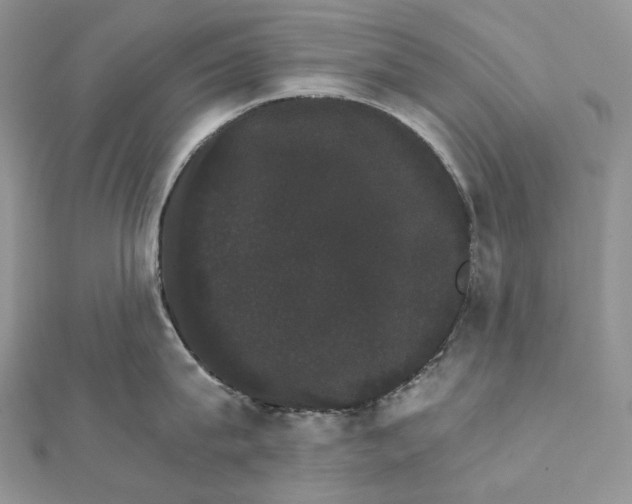 X0000111800815200908061157