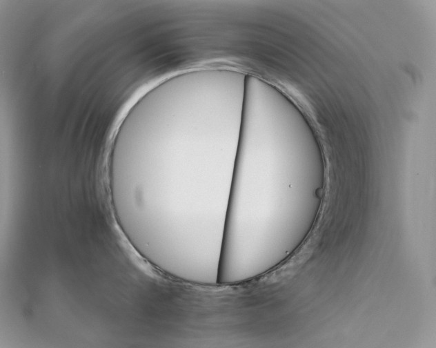 X0000111800816200908061157