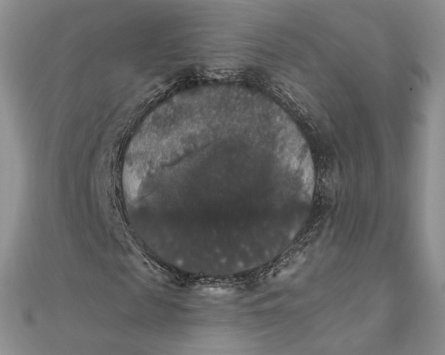 X0000111800817200908061156