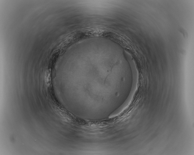 X0000111800818200908061156