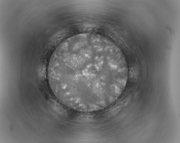 X0000111800820200908061156